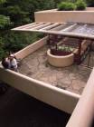 fallingwater_7.jpg